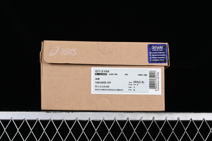 As*ic*s gt 2160 