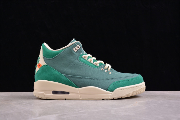 nina Ch*el abney x air jordan 3 