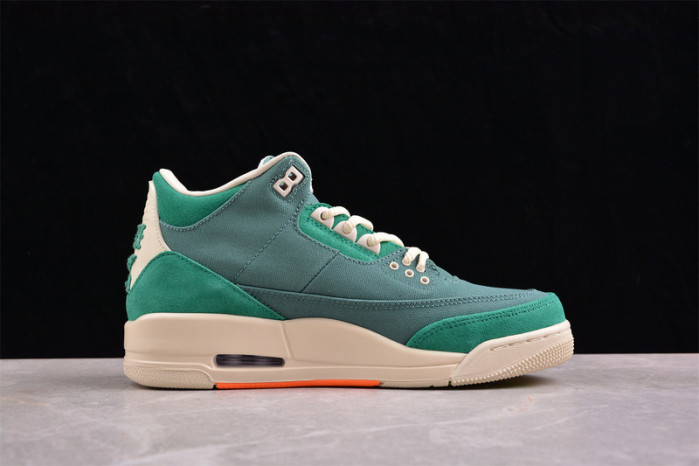 nina Ch*el abney x air jordan 3 